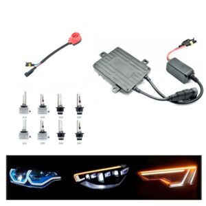 D2S-D2R XENON AC BALAST CAN BUS UNIVERZALNI 12V-24V ZAMENSKI