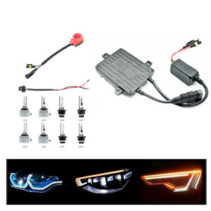 D2S-D2R XENON AC BALAST CAN BUS UNIVERZALNI 12V-24V ZAMENSKI